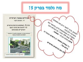 דפי נחיתה