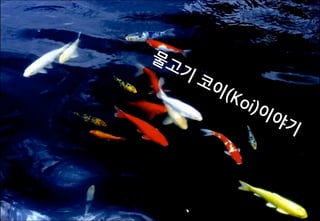 활용
 