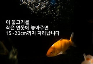 to	
 