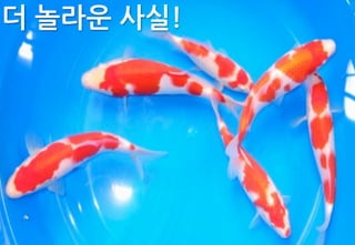Start


트위터	
 