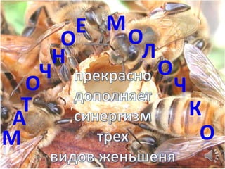 о е м о
             н           л
         ч   н


     о                       о
    т                            ч
а                                    к
м                                        о
 