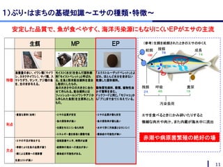 こだわりの養殖活魚