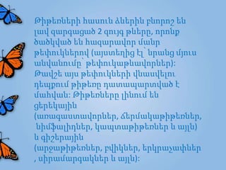 Թիթեռների հասուն ձևերին բնորոշ են
լավ զարգացած 2 զույգ թևերը, որոնք
ծածկված են հազարավոր մանր
թեփուկներով (այստեղից էլ՝ նրանց մյուս
անվանումը՝ թեփուկաթևավորներ):
Թավշե այս թեփուկների վնասվելու
դեպքում թիթեռը դատապարտված է
մահվան: Թիթեռները լինում են
ցերեկային
(առագաստավորներ, ճերմակաթիթեռներ,
 նիմֆալիդներ, կապտաթիթեռներ և այլն)
և գիշերային
(արջաթիթեռներ, բվիկներ, երկրաչափներ
, սիրամարգակներ և այլն):
 