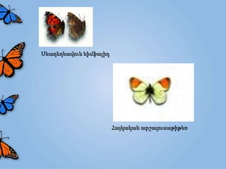 Սևադեղնավուն նիմֆալիդ




                        Հայկական արշալուսաթիթեռ
 