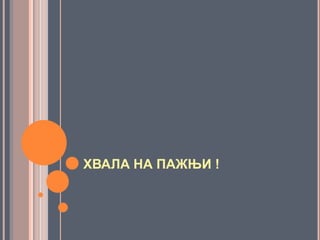 ХВАЛА НА ПАЖЊИ !
 