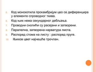 5.    Код монокотила прокамбријум цео се диференцира
      у елементе спроводног ткива.
6.    Код њих нема секундарног дебљања.
7.    Проводни снопићи су расејани и затворени.
8.    Паралелна, затворена нарватура листа.
9.    Распоред стома на листу : распоред пруге.
10.    Њихов цвет најчешће трочлан.
 
