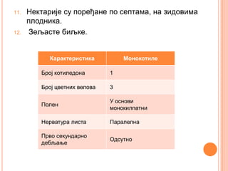 11.   Нектарије су поређане по септама, на зидовима
      плодника.
12.   Зељасте биљке.


            Карактеристика         Монокотиле

         Број котиледона       1

         Број цветних велова   3

                               У основи
         Полен
                               монокилпатни

         Нерватура листа       Паралелна

         Прво секундарно
                               Одсутно
         дебљање
 