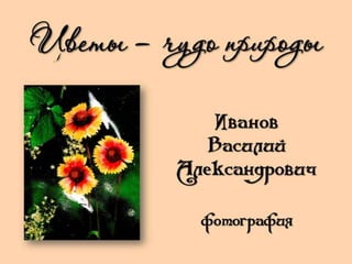 Иванов "Цветы - чудо природы"