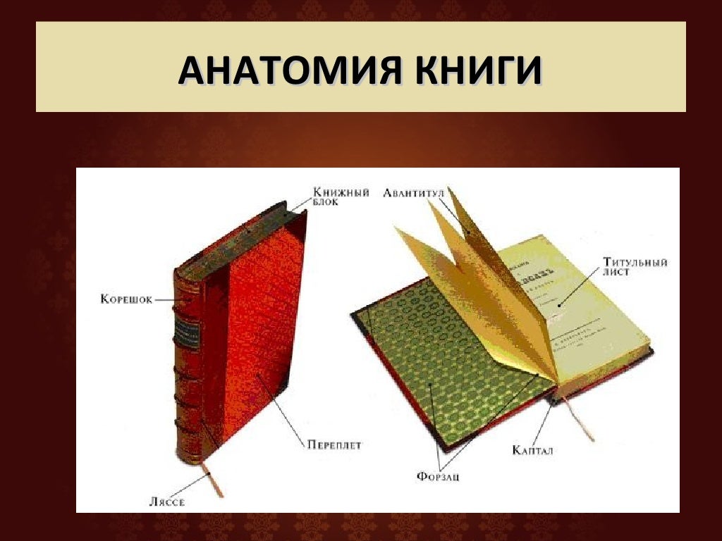 Структура художественной книги. Строение книги. структура обложки книги. структура книги 2 класс.