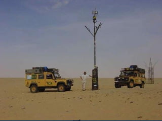 Десять удивительных созданий растительного мира