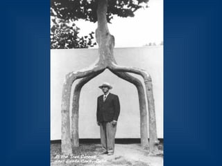 Десять удивительных созданий растительного мира