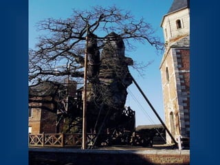 Десять удивительных созданий растительного мира