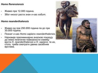 Homo florensiensis

-   Живео пре 12.000 година.
-   Због ниског раста знан и као хобит.

Homo neanderthalensis

-   Живео од пре 250.000 година па до пре
    30.000 година.
-   Познат и као Homo sapiens neanderthalensis.
-   Најновије прелиминарне анализе показују
    да нема генетичке повезаности између
    врста H. neanderthalensis и H. sapiens, те их,
    стога, треба сматрати двема засебним
    врстама.
 