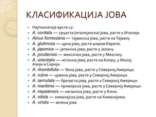 КЛАСИФИКАЦИЈА ЈОВА
   Најпознатије врсте су:
   A. cordata — срцаста (италијанска) јова, расте у Италији.
   Alnus formosana — тајванска јова, расте на Тајвану
   A. glutinosa — црна јова, расте широм Европе.
   A. japonica — јапанска јова, расте у Јапану.
   A. jorullensis — мексичка јова, расте у Мексику.
   A. orientalis — источна јова, расте на Кипру, у Малој
    Азији и Сирији.
   A. rhombifolia — бела јова, расте у Северној Америци.
   A. rubra — црвена јова, расте у Северној Америци.
   A. serrulata — брезаста јова, расте у Северној Америци.
   A. maritima — приморска јова, расте у Северној Америци.
   A. nepalensis — непалска јова, расте у Кини.
   A. nitida — хималајска јова, расте на Хималајима.
   A. viridis — зелена јова
 