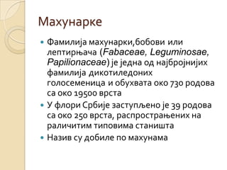 Махунарке
 Фамилија махунарки,бобови или
  лептирњача (Fabaceae, Leguminosae,
  Papilionaceae) је једна од најбројнијих
  фамилија дикотиледоних
  голосеменица и обухвата око 730 родова
  са око 19500 врста
 У флори Србије заступљено је 39 родова
  са око 250 врста, распрострањених на
  раличитим типовима станишта
 Назив су добиле по махунама
 