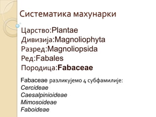 Систематика махунарки
Царство:Plantae
Дивизија:Magnoliophyta
Разред:Magnoliopsida
Ред:Fabales
Породица:Fabaceae
Fabaceae разликујемо 4 субфамилије:
Cercideae
Caesalpinioideae
Mimosoideae
Faboideae
 