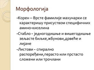 Морфологија
-Корен – Врсте фамилије махунарки се
  карактеришу присуством специфичних
  амино-киселина
-Стабло - једногодишње и вишегодишње
  зељасте биљке,жбунови,дрвеће и
  лијане
-Листови - спирално
  распоређени,перасто или прстасто
  сложени или трочлани
 