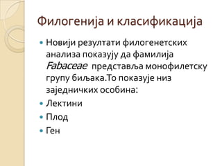 Филогенија и класификација
 Новији резултати филогенетских
  анализа показују да фамилија
  Fabaceae представља монофилетску
  групу биљака.То показује низ
  заједничких особина:
 Лектини
 Плод
 Ген
 