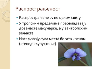 Распрострањеност
 Распрострањене су по целом свету
 У тропским пределима преовладавају
  дрвенасте махунарке, а у вантропским
  зељасте
 Насељавају сува места богата кречом
  (степе,полупустиње)
 