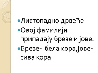 Листопадно дрвеће
Овој фамилији
 припадају брезе и јове.
Брезе- бела кора,јове-
 сива кора
 
