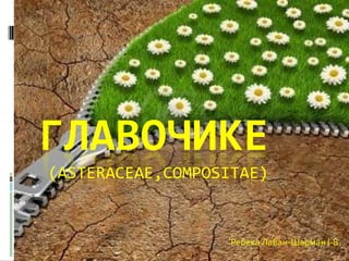 ГЛАВОЧИКЕ
(ASTERACEAE,COMPOSITAE)


                   Ребека Лабан-Шарман I-8
 