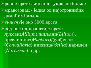 разне врсте љиљана - украсне биљке
мравозовац - једна од најотровнијих
 домаћих биљака
укључује око 3000 врста
код нас најпознатије врсте –
 лукови(Allium),љиљани(Lilium),
 пресличице(Muskari),ђурђевак
 (Convallaria),никсица(Scilla),нарциси
 (Narcissus) и др.
 