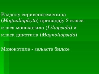 Разделу скривеносеменица
(Magnoliophyta) припадају 2 класе:
класа монокотила (Liliopsida) и
класа дикотила (Magnoliopsida)

Монокотиле - зељасте биљке
 
