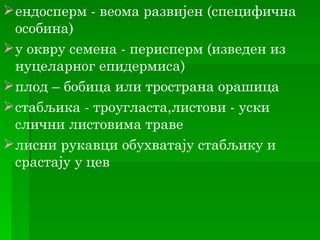  ендосперм - веома развијен (специфична
  особина)
 у оквру семена - перисперм (изведен из
  нуцеларног епидермиса)
 плод – бобица или тространа орашица
 стабљика - троугласта,листови - уски
  слични листовима траве
 лисни рукавци обухватају стабљику и
  срастају у цев
 
