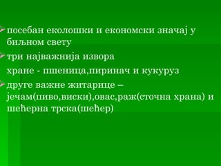  посебан еколошки и економски значај у
  биљном свету
 три најважнија извора
  хране - пшеница,пиринач и кукуруз
 друге важне житарице –
  јечам(пиво,виски),овас,раж(сточна храна) и
  шећерна трска(шећер)
 
