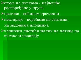 стоме на лискама - најчешће
 распоређене у пруге
цветови - већином трочлани
нектарије - поређане по септама,
 на зидовима плодника
чашични листићи налик на латице,па
 се тако и називају
 