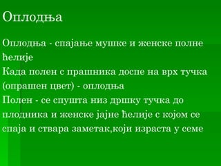 Оплодња
Оплодња - спајање мушке и женске полне
ћелије
Када полен с прашника доспе на врх тучка
(oпрашен цвет) - оплодња
Полен - се спушта низ дршку тучка до
плодника и женске јајне ћелије с којом се
спаја и ствара заметак,који израста у семе
 