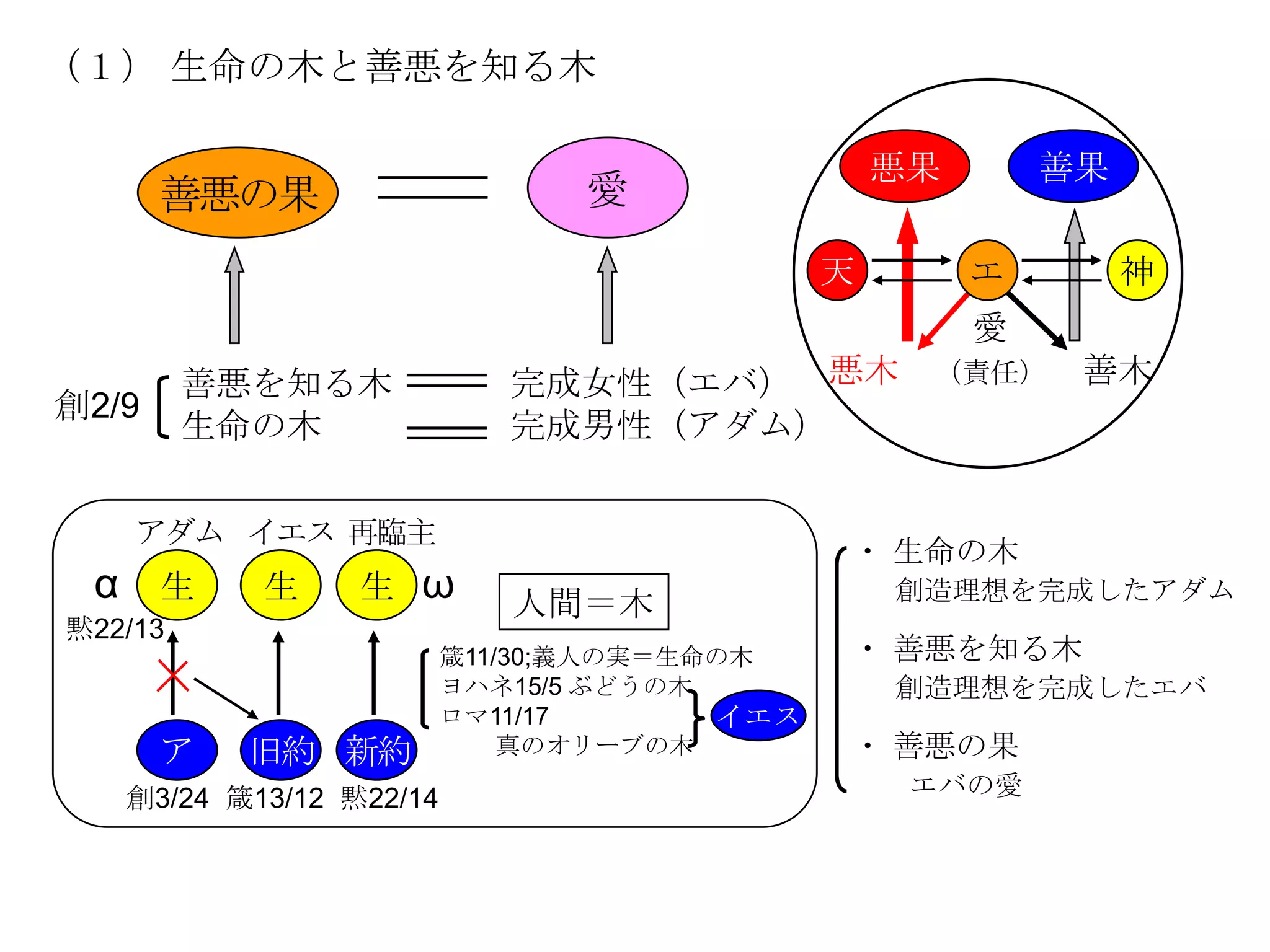 （１） 生命の木と善悪を知る木

                                                 悪果       善果
       善悪の果                    愛
                                             天        エ        神
                                                      愛
         善悪を知る木             完成女性（エバ） 悪木           （責任）     善木
創2/9
         生命の木               完成男性（アダム）

    アダム イエス 再臨主
                                             ・ 生命の木
 α 生       生     生 ω        人間＝木                 創造理想を完成したアダム
黙22/13
                         箴11/30;義人の実＝生命の木    ・ 善悪を知る木
                         ヨハネ15/5 ぶどうの木           創造理想を完成したエバ
                         ロマ11/17       イエス
       ア   旧約 新約             真のオリーブの木        ・ 善悪の果
   創3/24 箴13/12 黙22/14                            エバの愛
 