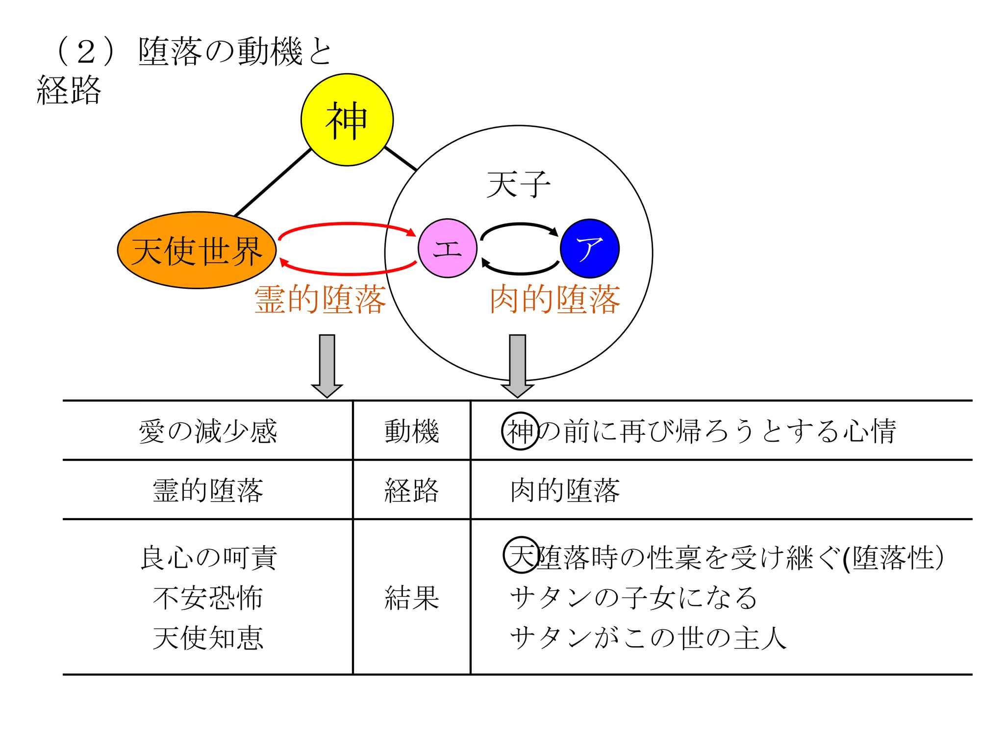 （２）堕落の動機と
経路
           神
                    天子

  天使世界          エ      ア
      霊的堕落          肉的堕落


   愛の減尐感       動機   神の前に再び帰ろうとする心情

   霊的堕落        経路   肉的堕落

   良心の呵責            天堕落時の性稟を受け継ぐ(堕落性）
   不安恐怖        結果   サタンの子女になる
   天使知恵             サタンがこの世の主人
 