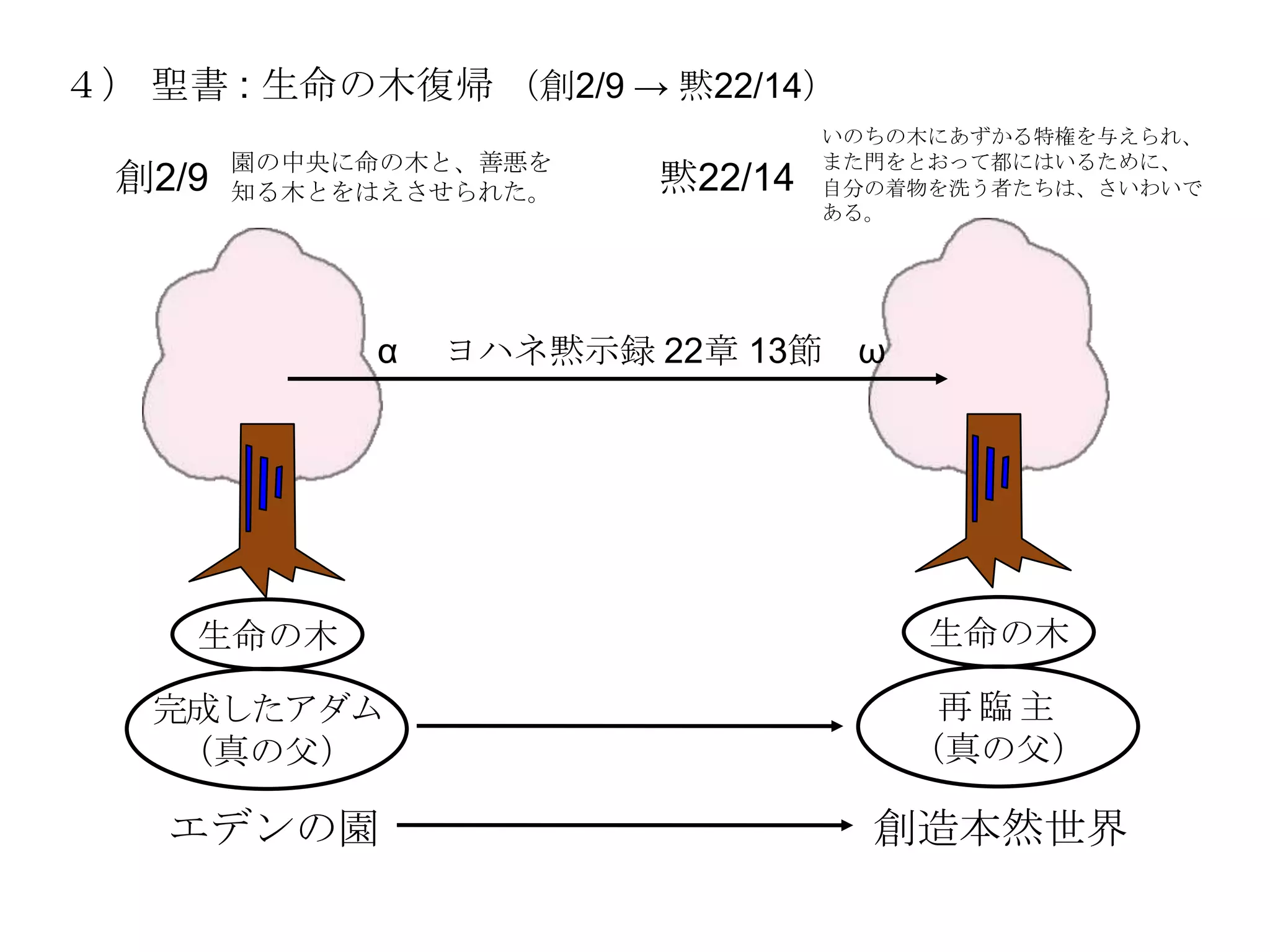 ４） 聖書 : 生命の木復帰 （創2/9 → 黙22/14）
                                  いのちの木にあずかる特権を与えられ、
         園の中央に命の木と、善悪を            また門をとおって都にはいるために、
  創2/9   知る木とをはえさせられた。   黙22/14   自分の着物を洗う者たちは、さいわいで
                                  ある。




              α   ヨハネ黙示録 22章 13節 ω




     生命の木                              生命の木

   完成したアダム                             再臨主
    （真の父）                             （真の父）

    エデンの園                           創造本然世界
 