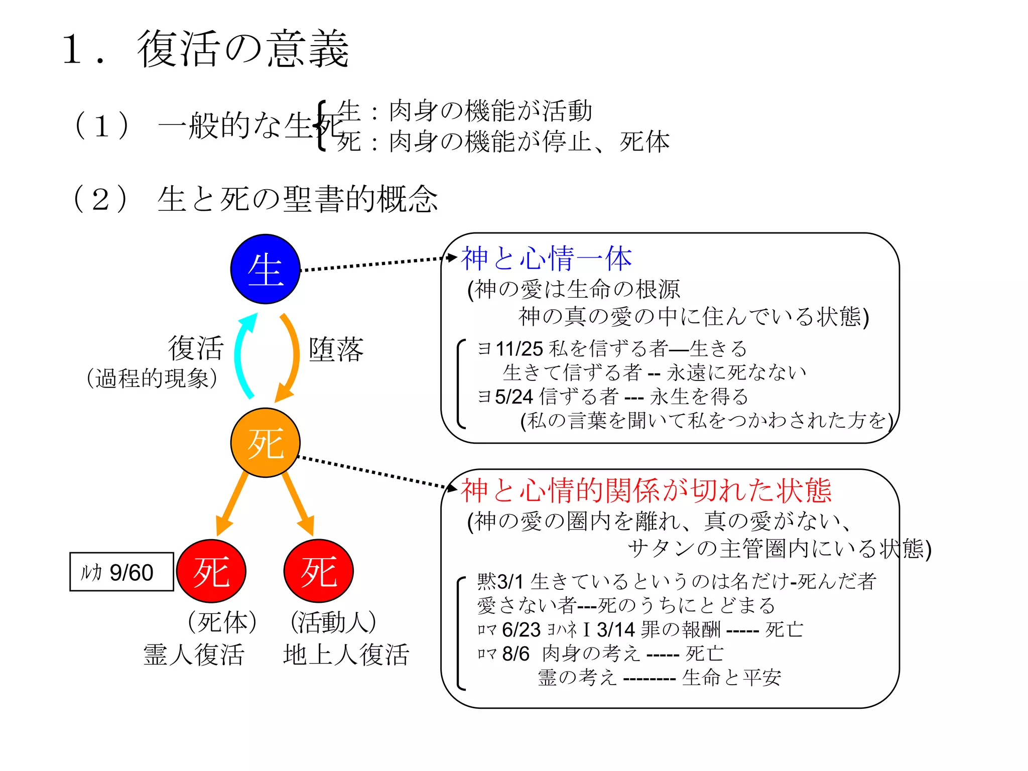 １．復活の意義
                    生：肉身の機能が活動
（１） 一般的な生死死：肉身の機能が停止、死体

（２） 生と死の聖書的概念
                        神と心情一体
               生         (神の愛は生命の根源
                            神の真の愛の中に住んでいる状態)
          復活       堕落    ヨ11/25 私を信ずる者—生きる
（過程的現象）                    生きて信ずる者 -- 永遠に死なない
                         ヨ5/24 信ずる者 --- 永生を得る
                             (私の言葉を聞いて私をつかわされた方を)
               死
                        神と心情的関係が切れた状態
                         (神の愛の圏内を離れ、真の愛がない、
                                 サタンの主管圏内にいる状態)
ﾙｶ 9/60   死        死     黙3/1 生きているというのは名だけ-死んだ者
                         愛さない者---死のうちにとどまる
      （死体）（活動人）          ﾛﾏ 6/23 ﾖﾊﾈⅠ3/14 罪の報酬 ----- 死亡
     霊人復活 地上人復活          ﾛﾏ 8/6 肉身の考え ----- 死亡
                                霊の考え -------- 生命と平安
 