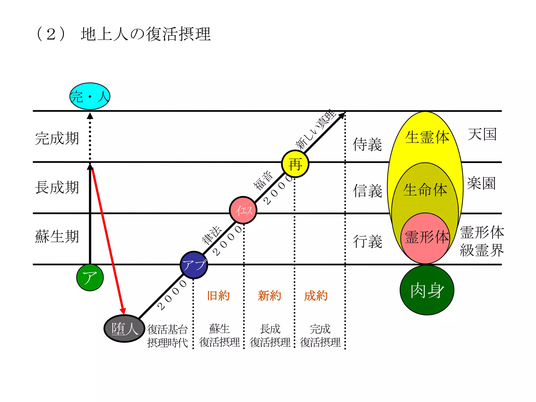 （２） 地上人の復活摂理


  完・人


完成期                                               生霊体   天国
                                             侍義
                                    再
長成期                                               生命体   楽園
                                             信義
                         ｲｴｽ
蘇生期                                          行義   霊形体 霊形体
                                                      級霊界
                  アブ
      ア
                    旧約         新約       成約        肉身

          堕人   復活基台  蘇生   長成   完成
               摂理時代 復活摂理 復活摂理 復活摂理
 