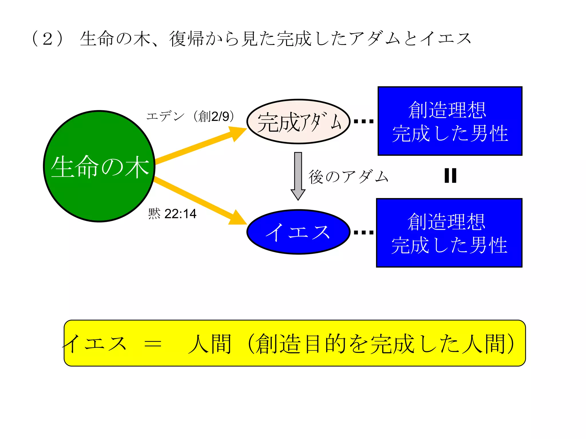 （２） 生命の木、復帰から見た完成したアダムとイエス



       エデン（創2/9）               創造理想
                   完成ｱﾀﾞﾑ     完成した男性
 生命の木                 後のアダム

       黙 22:14
                               創造理想
                   イエス
                              完成した男性




  イエス ＝ 人間（創造目的を完成した人間）
 