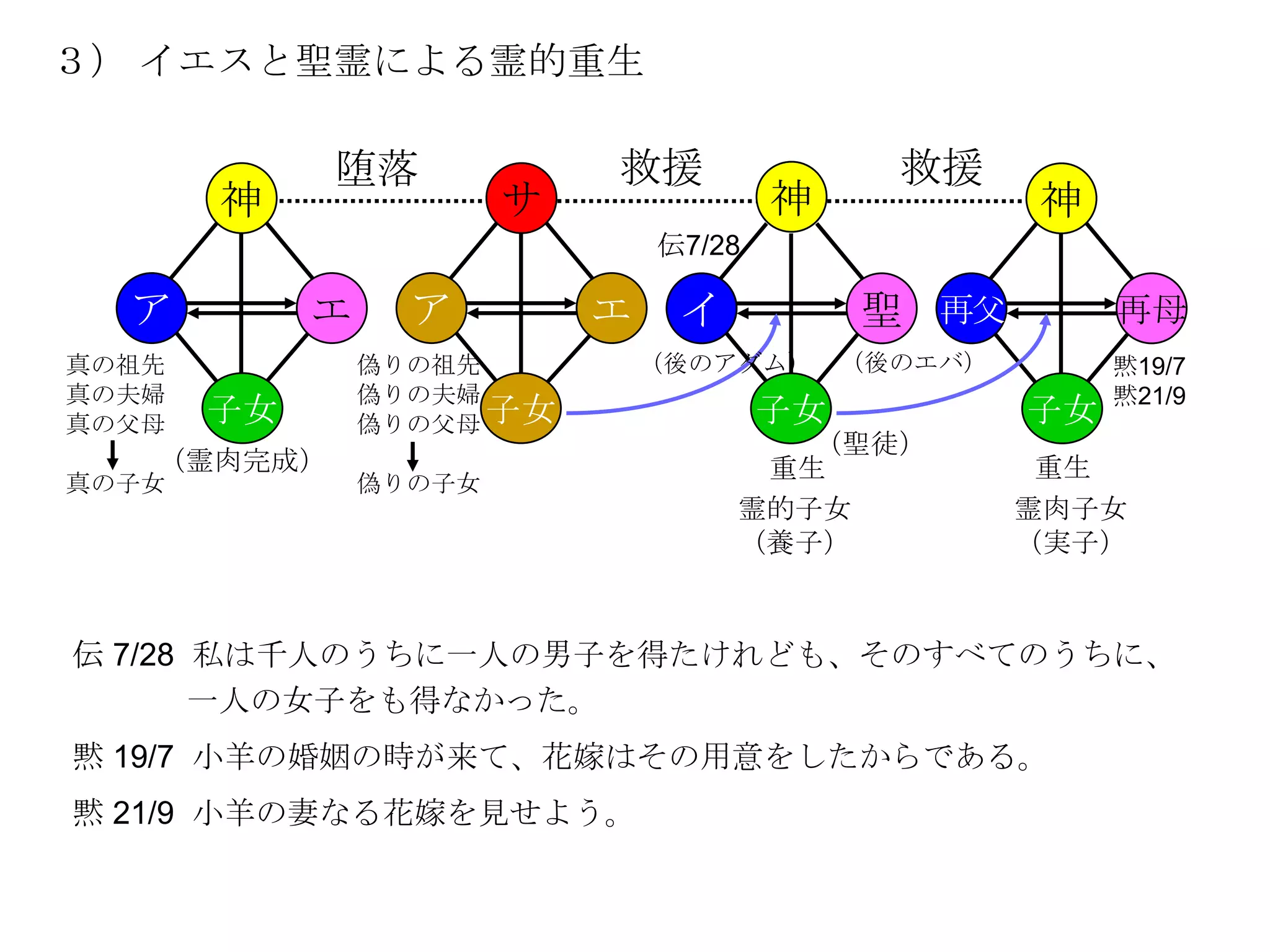 ３） イエスと聖霊による霊的重生

            堕落              救援                 救援
       神                サ               神             神
                                伝7/28

  ア         エ     ア         エ    イ           聖 再父          再母
真の祖先            偽りの祖先           （後のアダム）      （後のエバ）        黙19/7
真の夫婦            偽りの夫婦                                      黙21/9
真の父母   子女       偽りの父母 子女                子女            子女
                                        （聖徒）
   （霊肉完成）                             重生               重生
真の子女            偽りの子女
                                     霊的子女             霊肉子女
                                     （養子）             （実子）



伝 7/28 私は千人のうちに一人の男子を得たけれども、そのすべてのうちに、
       一人の女子をも得なかった。
黙 19/7 小羊の婚姻の時が来て、花嫁はその用意をしたからである。
黙 21/9 小羊の妻なる花嫁を見せよう。
 