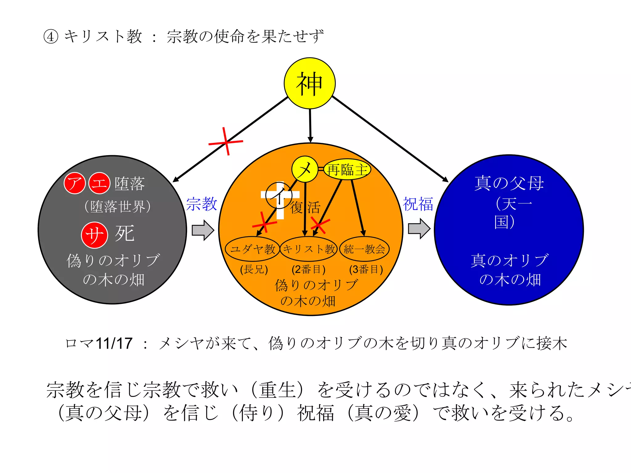 ④ キリスト教 ： 宗教の使命を果たせず


                         神

                        メ =再臨主
 ア エ 堕落                                      真の父母
  （堕落世界）   宗教          イ復 活             祝福   （天一
                                              国）
  サ 死           ユダヤ教 キリスト教 統一教会
 偽りのオリブ         (長兄)    (2番目)   (3番目)
                                             真のオリブ
  の木の畑                 偽りのオリブ                 の木の畑
                       の木の畑


 ロマ11/17 ： メシヤが来て、偽りのオリブの木を切り真のオリブに接木


宗教を信じ宗教で救い（重生）を受けるのではなく、来られたメシヤ
（真の父母）を信じ（侍り）祝福（真の愛）で救いを受ける。
 