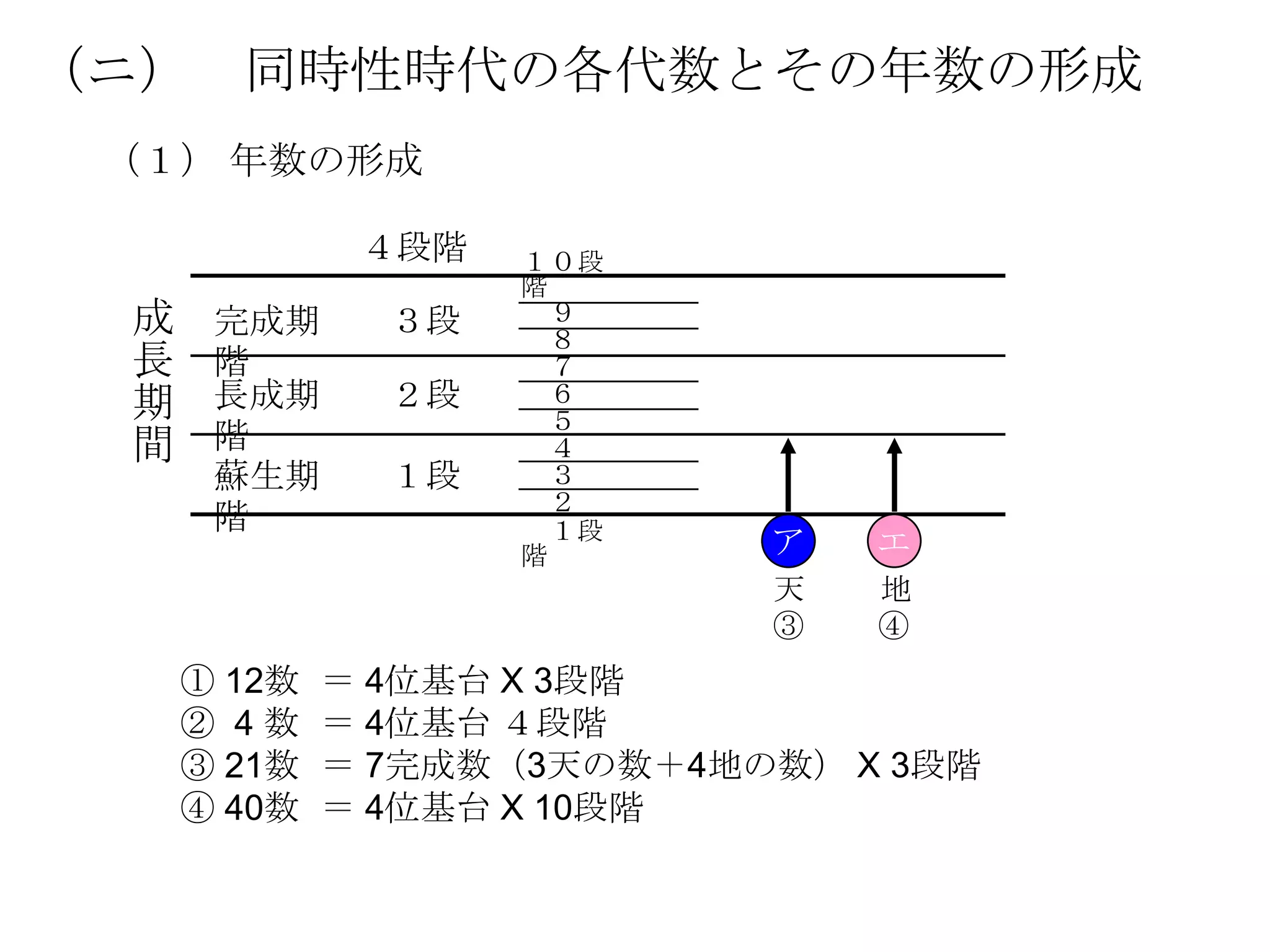 （ニ） 同時性時代の各代数とその年数の形成
 （１） 年数の形成

              ４段階   １０段
                    階
 成    完成期      ３段       ９
                        ８
 長    階                 ７
 期    長成期      ２段       ６
                        ５
 間    階                 ４
      蘇生期      １段       ３
                        ２
      階                 １段
                    階        ア   エ
                             天   地
                             ③   ④
     ① 12数   ＝ 4位基台 X 3段階
     ② 4数    ＝ 4位基台 ４段階
     ③ 21数   ＝ 7完成数（3天の数＋4地の数） X 3段階
     ④ 40数   ＝ 4位基台 X 10段階
 