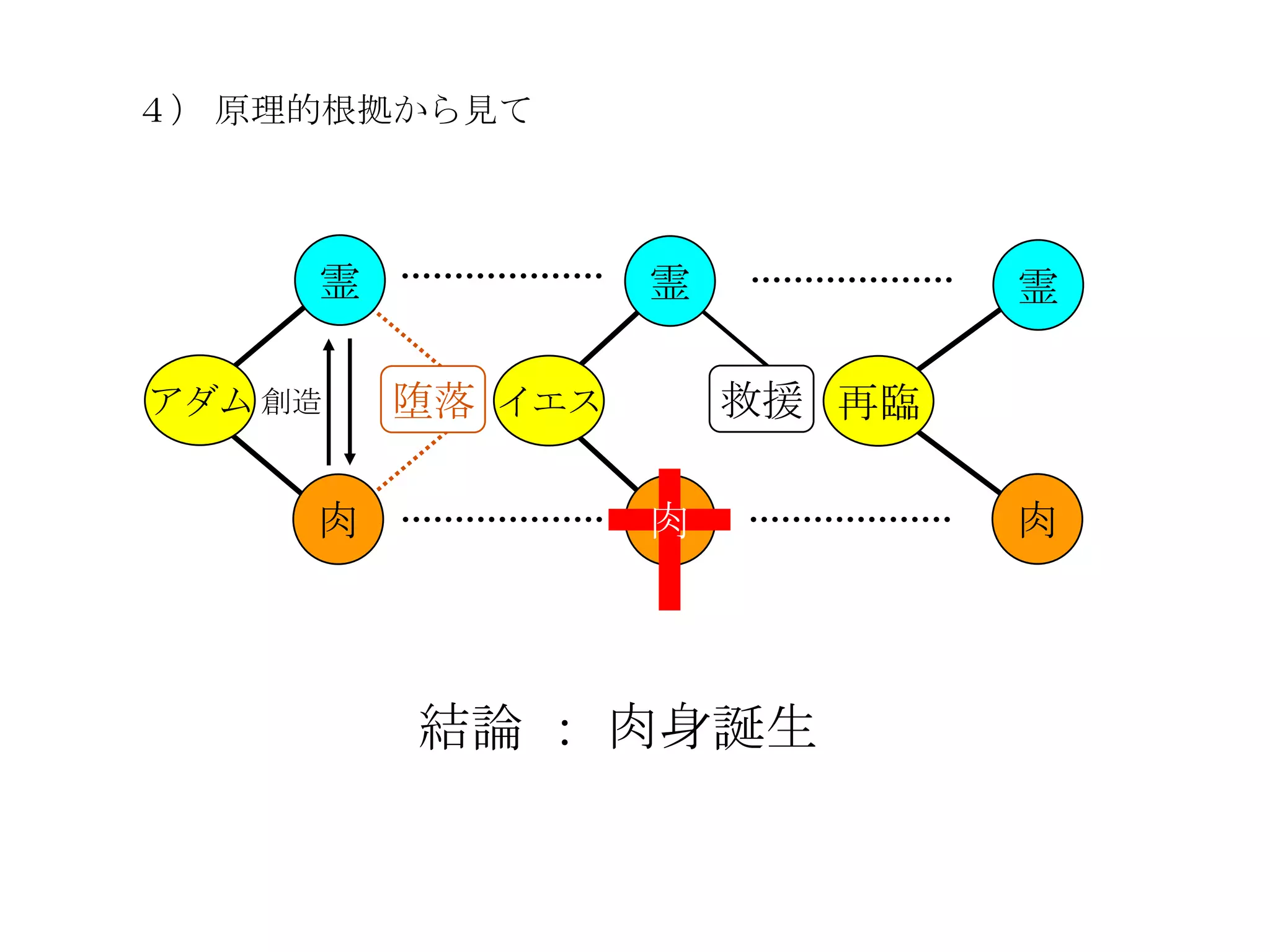 ４） 原理的根拠から見て



     霊            霊           霊

アダム 創造   堕落 イエス       救援 再臨

     肉            肉           肉



         結論 ： 肉身誕生
 