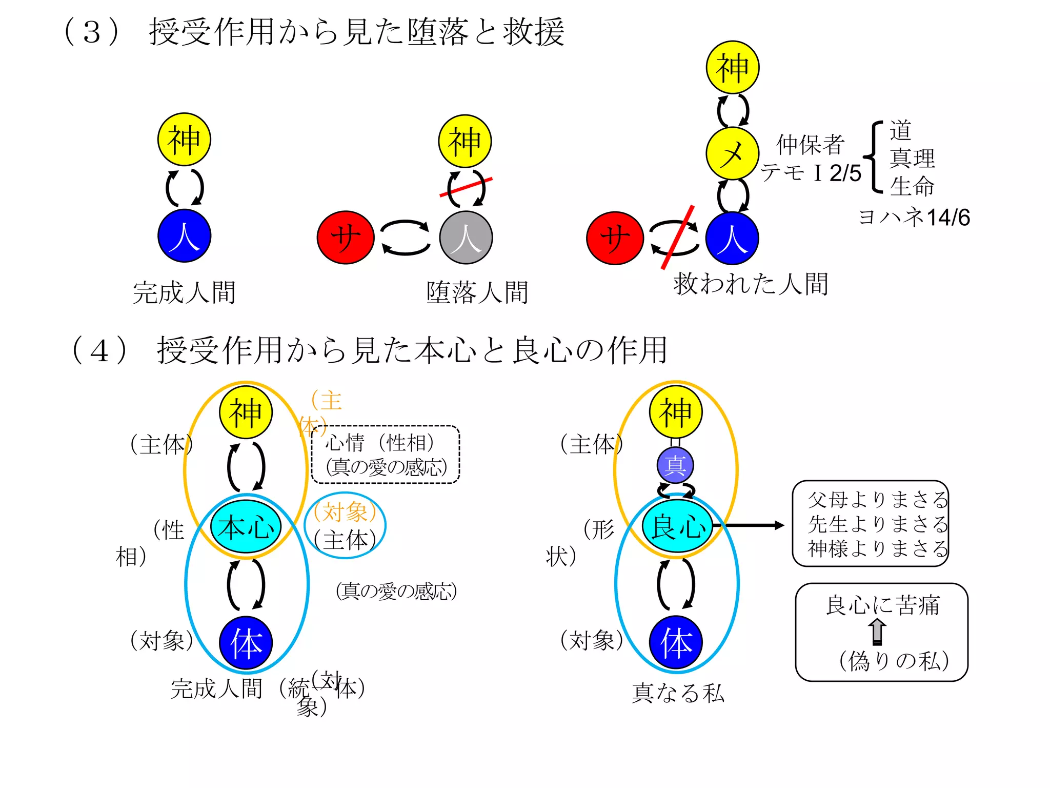 （３） 授受作用から見た堕落と救援
                                        神
                                                  道
    神                神                  メ    仲保者
                                                  真理
                                            テモⅠ2/5
                                                  生命
                                                 ヨハネ14/6
    人          サ     人        サ         人
  完成人間               堕落人間          救われた人間

（４） 授受作用から見た本心と良心の作用
              （主
         神    体）                   神
  （主体）         心情（性相）       （主体）
              （真の愛の感応）             真
                                              父母よりまさる
              （対象）
   （性    本心   （主体）           （形    良心         先生よりまさる
  相）                        状）                神様よりまさる

               （真の愛の感応）
                                               良心に苦痛
  （対象）   体                  （対象）   体           （偽りの私）
         （対
    完成人間（統一体）                     真なる私
         象）
 