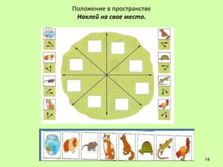 Положение в пространстве
 Наклей на свое место.




                           14
 