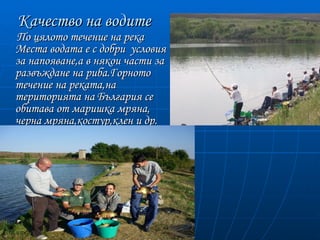 Качество на водите
По цялото течение на река
Места водата е с добри условия
за напояване,а в някои части за
развъждане на риба.Горното
течение на реката,на
територията на България се
обитава от маришка мряна,
черна мряна,костур,клен и др.
 