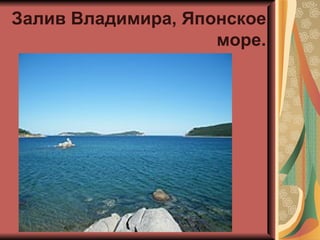 Залив Владимира, Японское
                    море.
 