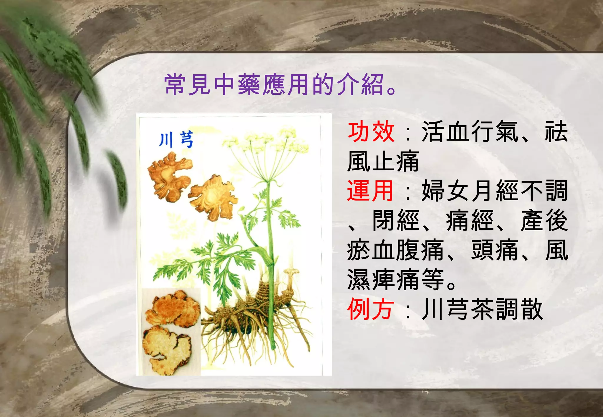 常見中藥應用的介紹。
       功效：活血行氣、祛
       風止痛
       運用：婦女月經不調
       、閉經、痛經、產後
       瘀血腹痛、頭痛、風
       濕痺痛等。
       例方：川芎茶調散
 