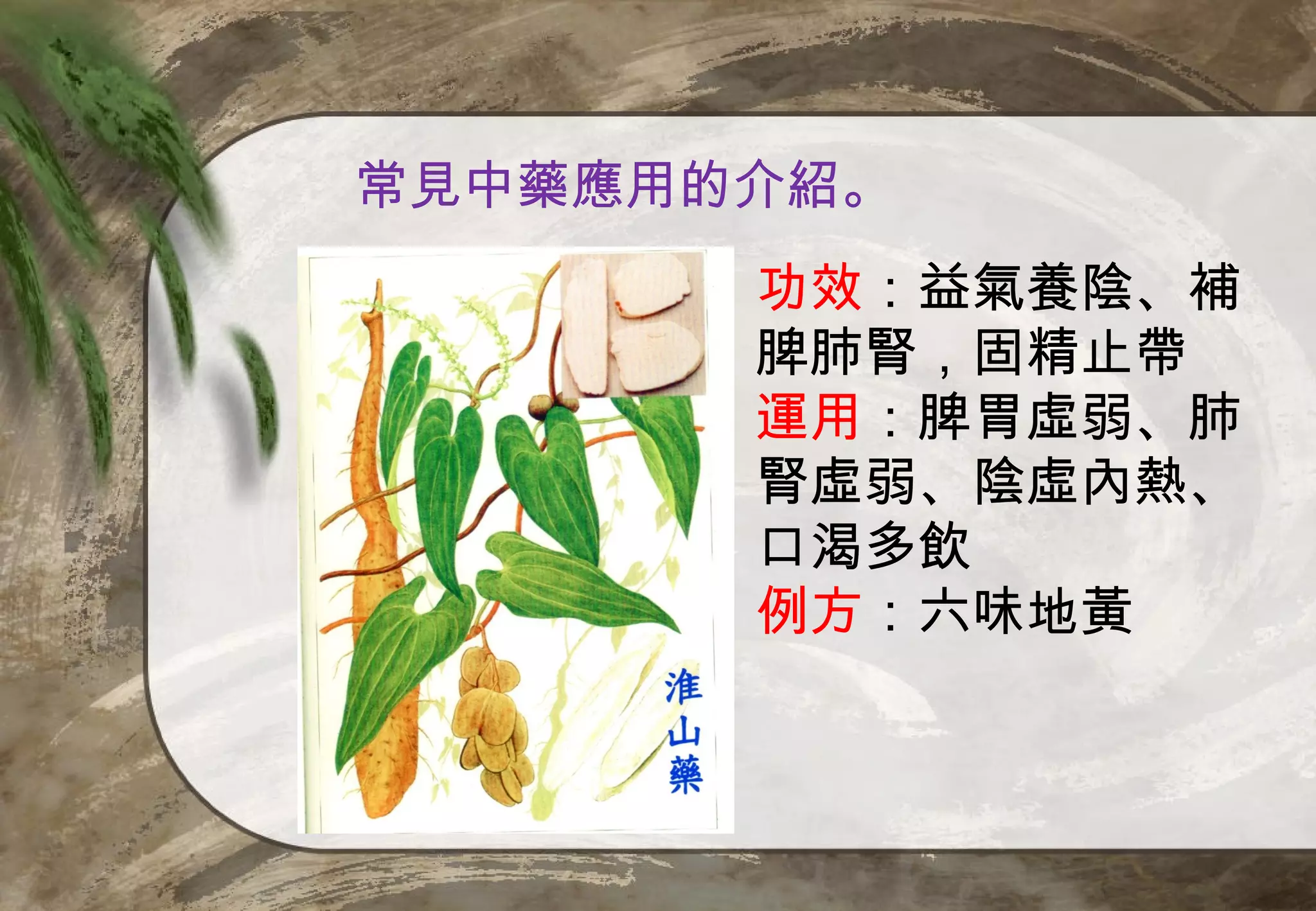 常見中藥應用的介紹。
       功效：益氣養陰、補
       脾肺腎，固精止帶
       運用：脾胃虛弱、肺
       腎虛弱、陰虛內熱、
       口渴多飲
       例方：六味地黃
 