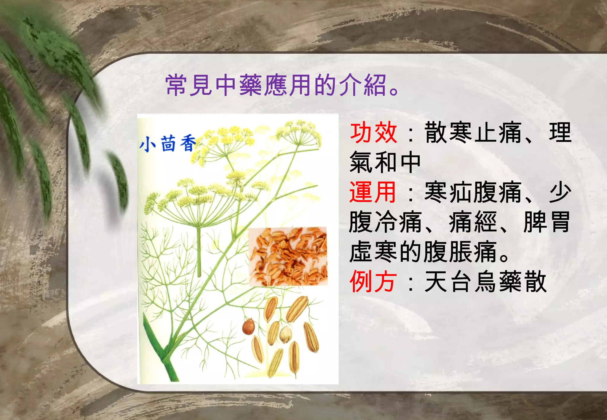 常見中藥應用的介紹。
       功效：散寒止痛、理
       氣和中
       運用：寒疝腹痛、少
       腹冷痛、痛經、脾胃
       虛寒的腹脹痛。
       例方：天台烏藥散
 