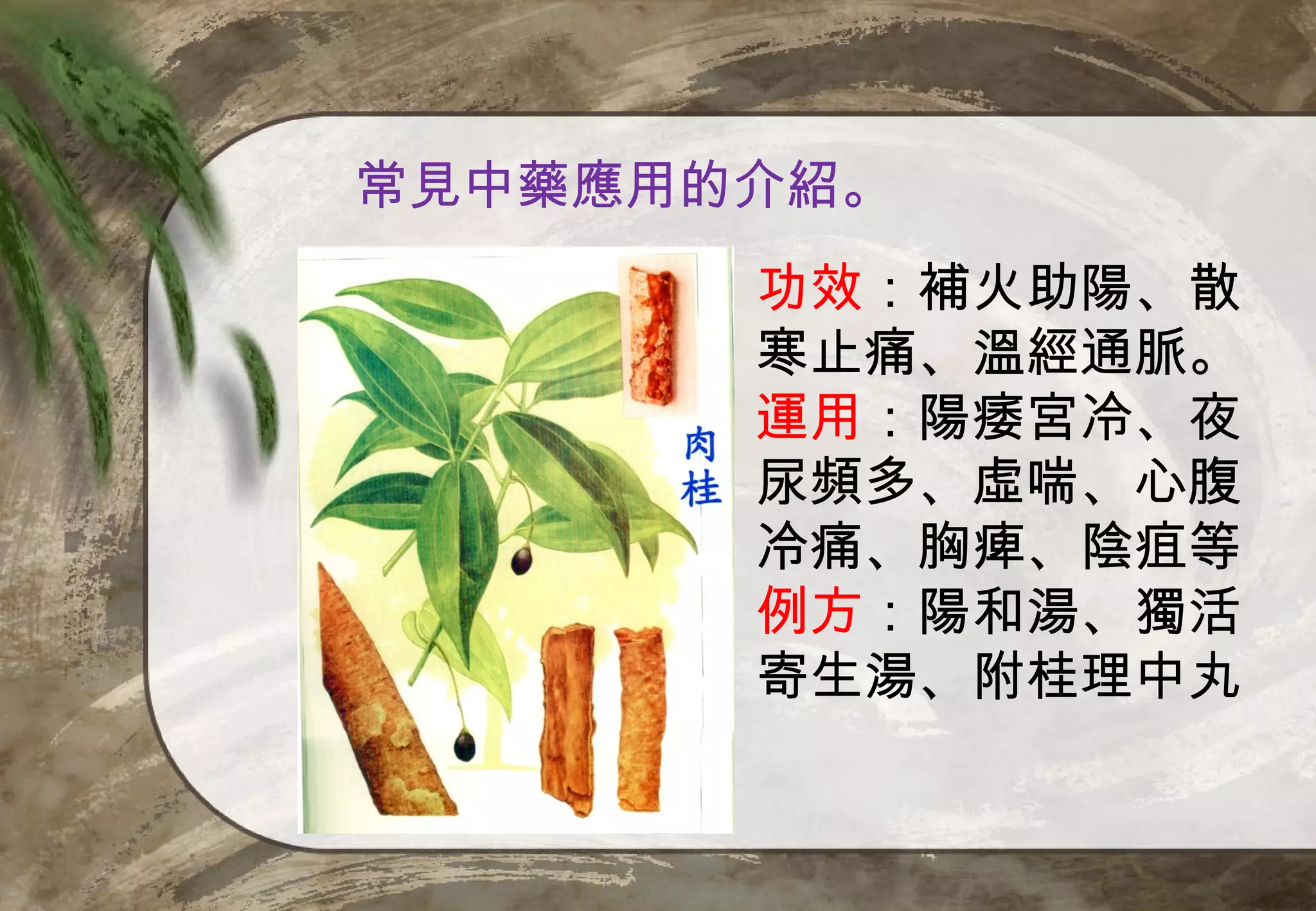 常見中藥應用的介紹。
       功效：補火助陽、散
       寒止痛、溫經通脈。
       運用：陽痿宮冷、夜
       尿頻多、虛喘、心腹
       冷痛、胸痺、陰疽等
       例方：陽和湯、獨活
       寄生湯、附桂理中丸
 