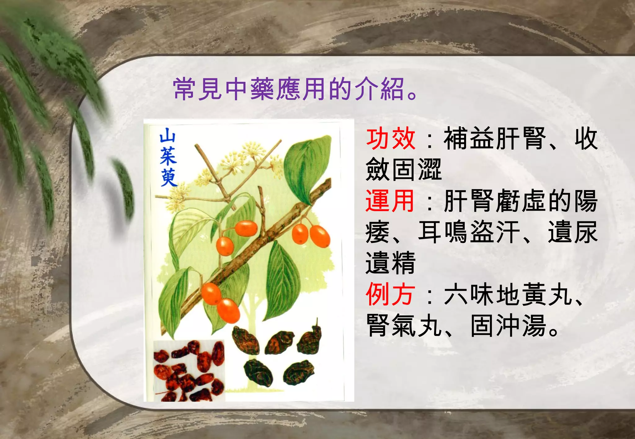 常見中藥應用的介紹。
       功效：補益肝腎、收
       斂固澀
       運用：肝腎虧虛的陽
       痿、耳鳴盜汗、遺尿
       遺精
       例方：六味地黃丸、
       腎氣丸、固沖湯。
 